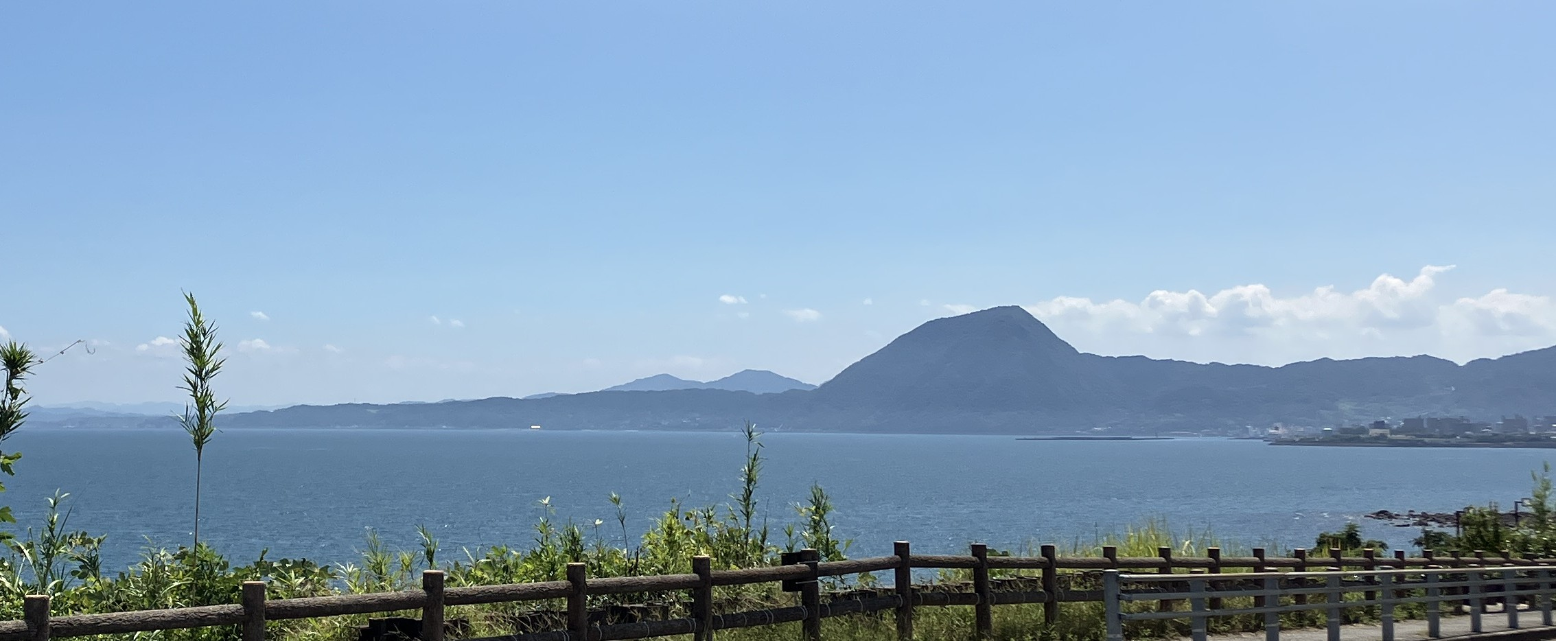 第29回バイオメカニズム・シンポジウム